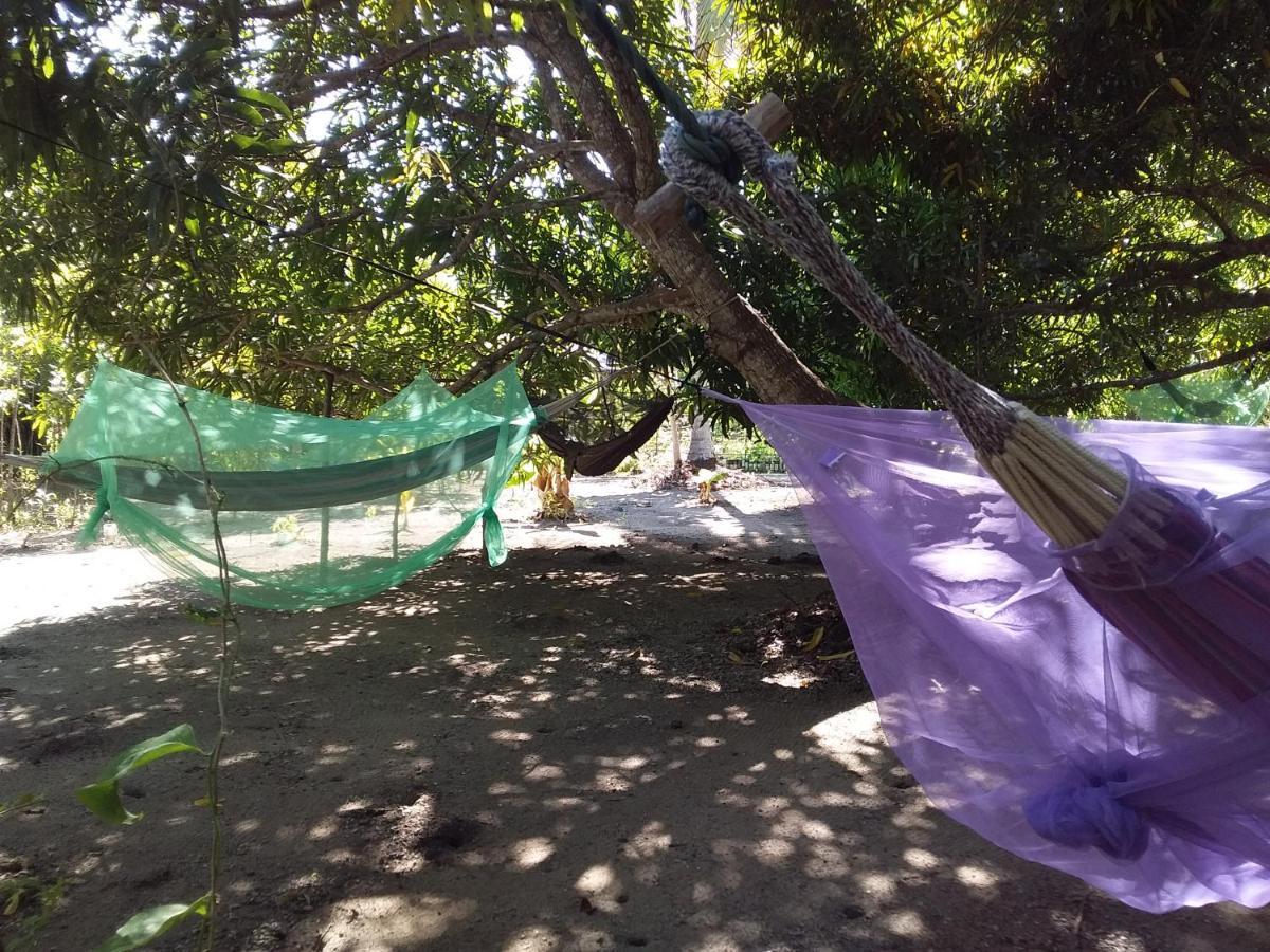 Eco-Camping Mango Feliz Rincon Del Mar San Onofre Exterior foto