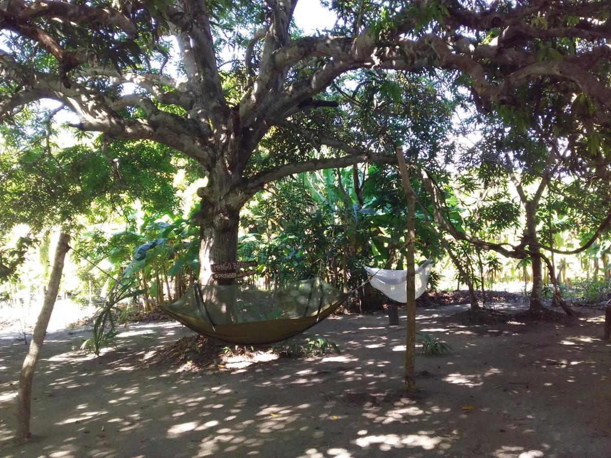 Eco-Camping Mango Feliz Rincon Del Mar San Onofre Exterior foto
