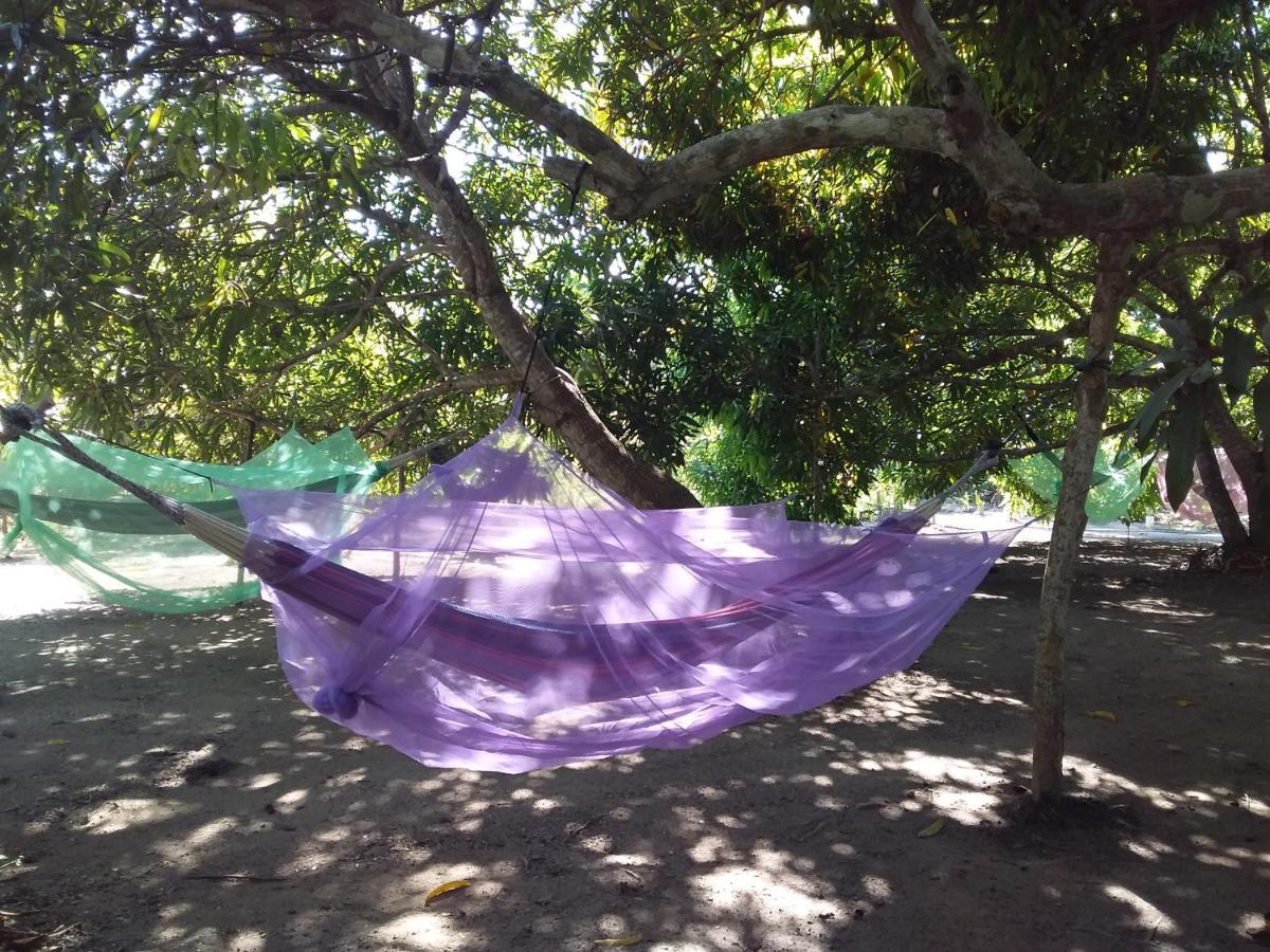 Eco-Camping Mango Feliz Rincon Del Mar San Onofre Exterior foto
