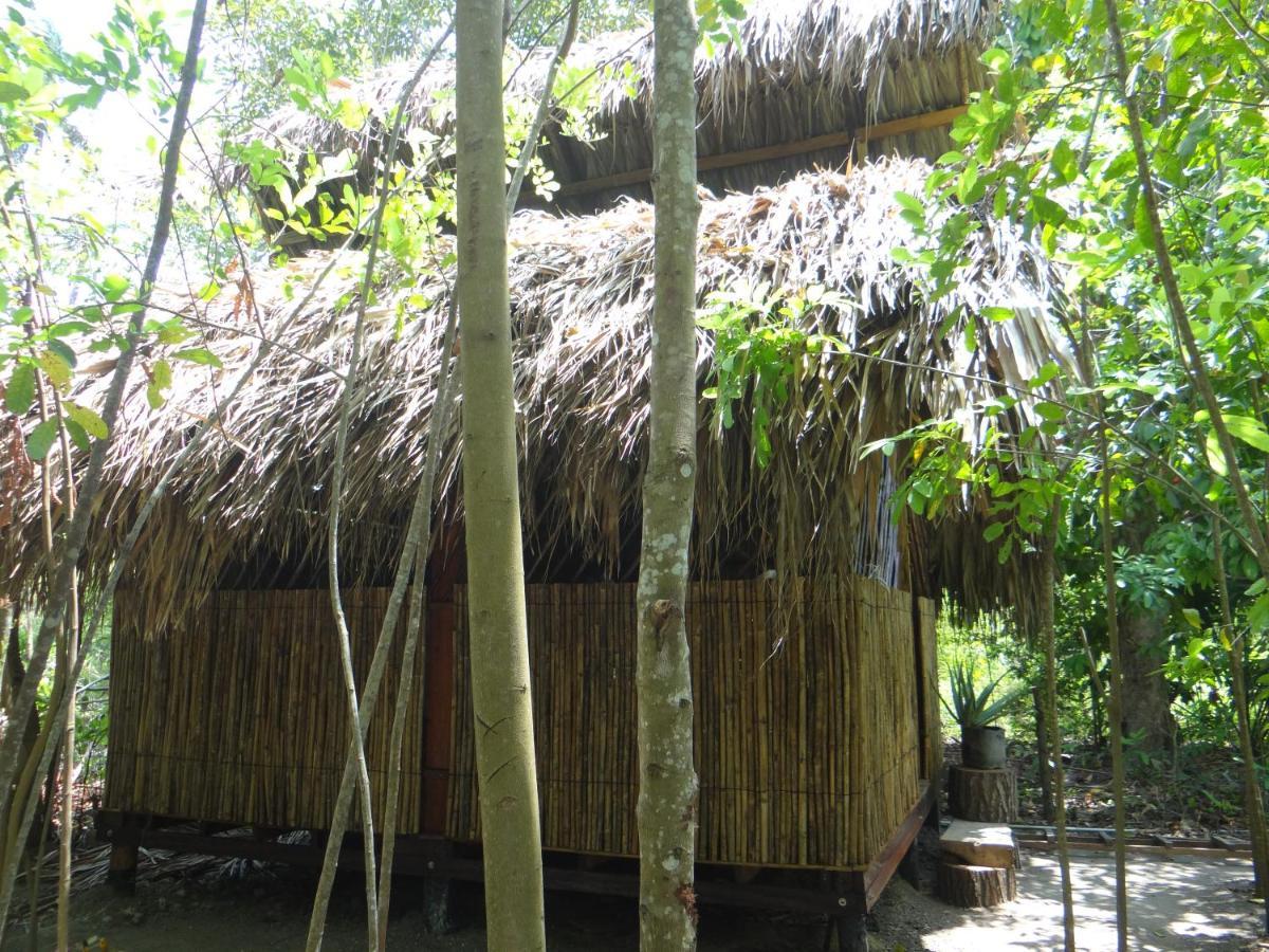 Eco-Camping Mango Feliz Rincon Del Mar San Onofre Exterior foto
