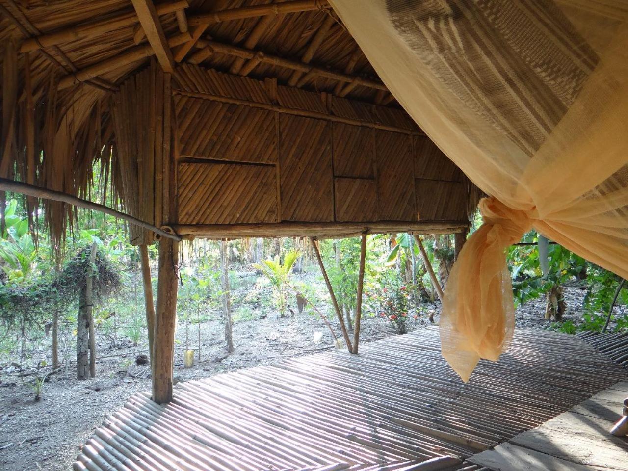 Eco-Camping Mango Feliz Rincon Del Mar San Onofre Exterior foto