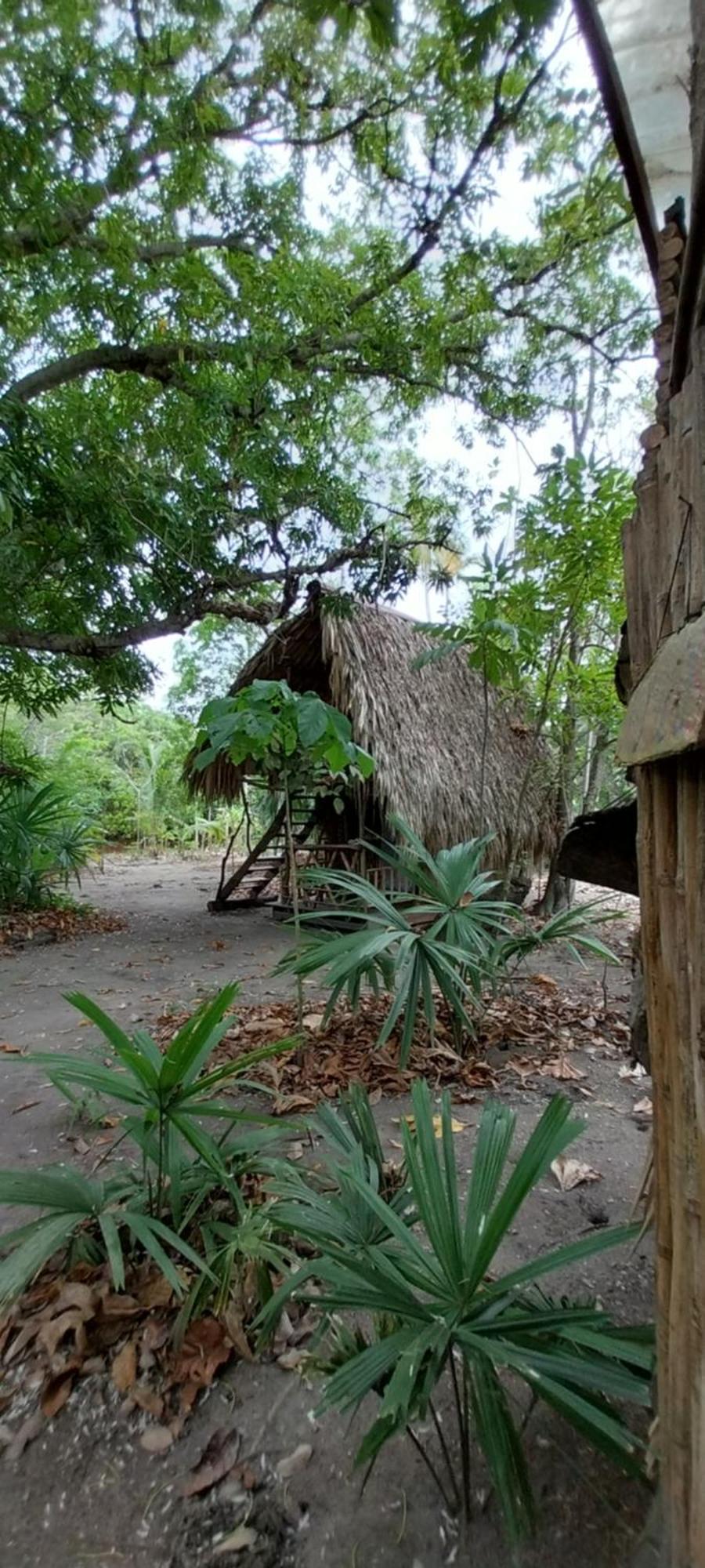 Eco-Camping Mango Feliz Rincon Del Mar San Onofre Exterior foto