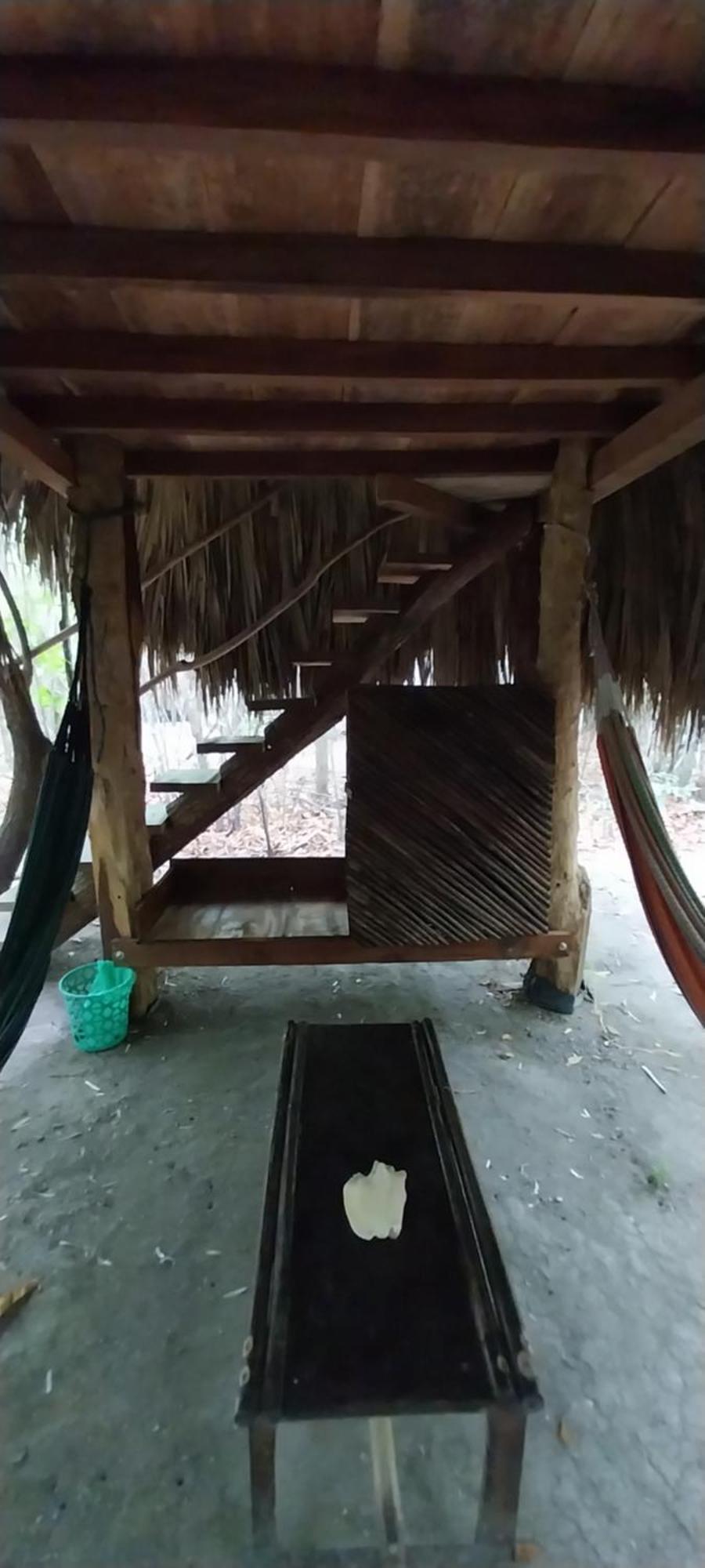 Eco-Camping Mango Feliz Rincon Del Mar San Onofre Exterior foto